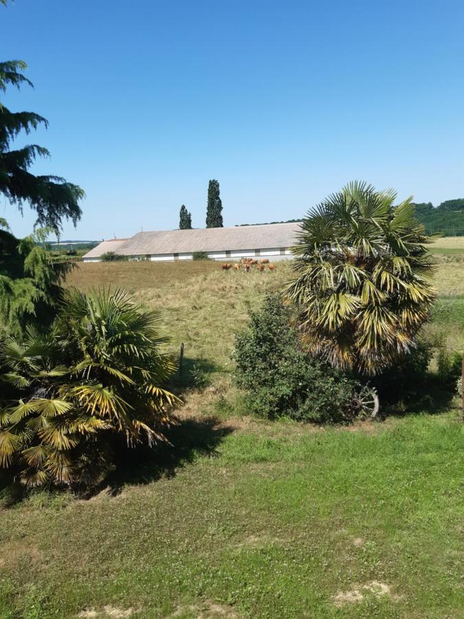 Chambre Double Avec Piscine Et Jacuzzi Bernadets-Debat Exterior foto